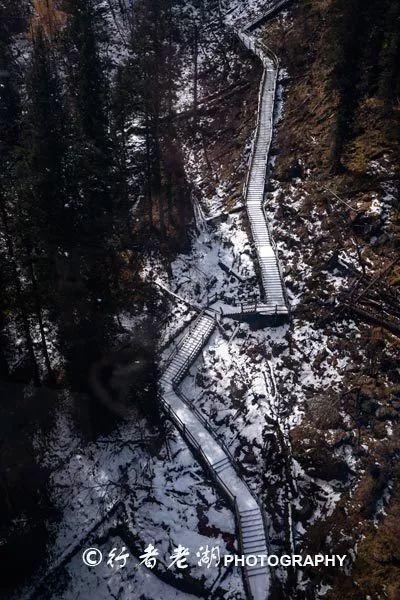 侯明昊林允为宠物狗敷面膜,谁留意额头写啥了?可爱度直接爆表