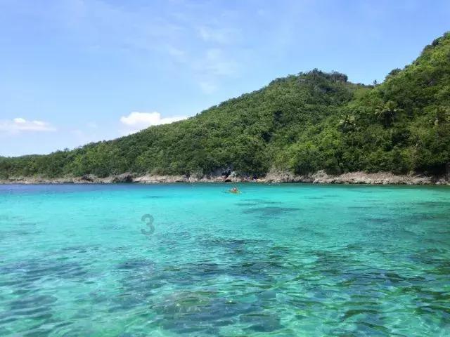 腐烂国度